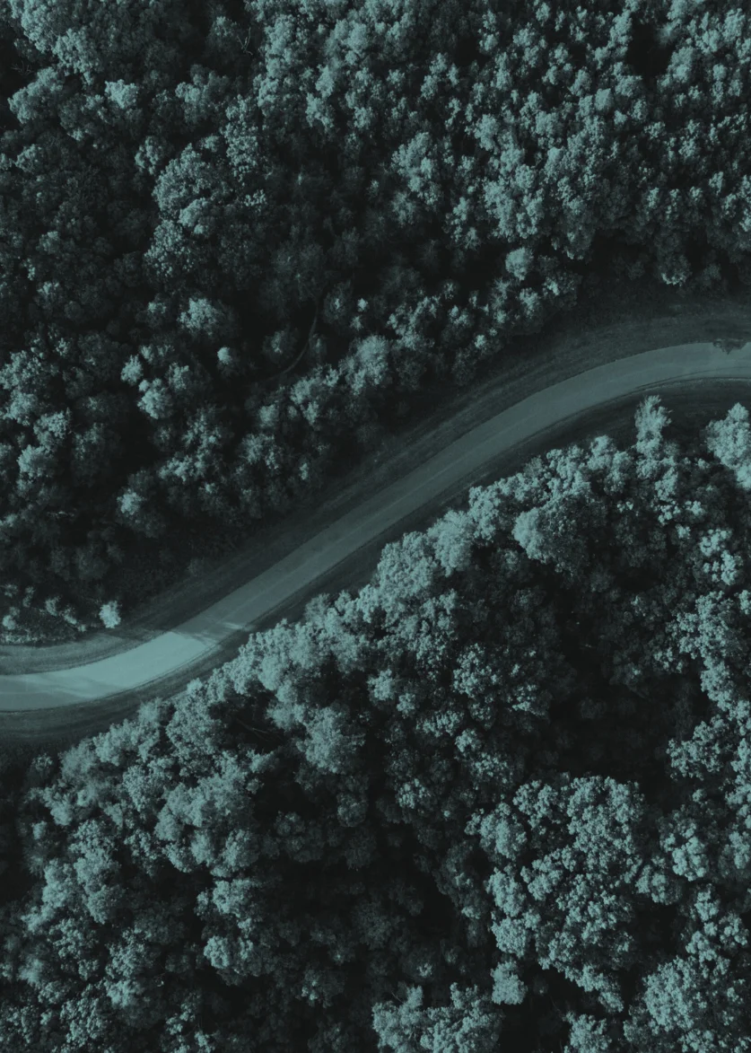 carbonfit helps business manage and reduce their carbon footprint through our carbon accounting software