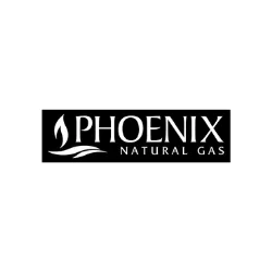 Phoenix gas - carbon accounting and reduction planning with carbonfit